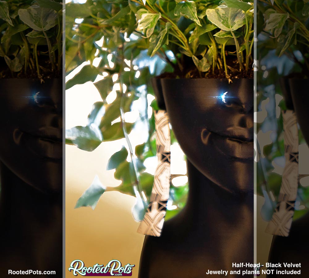 FEATURES - Half Head (Onileola)