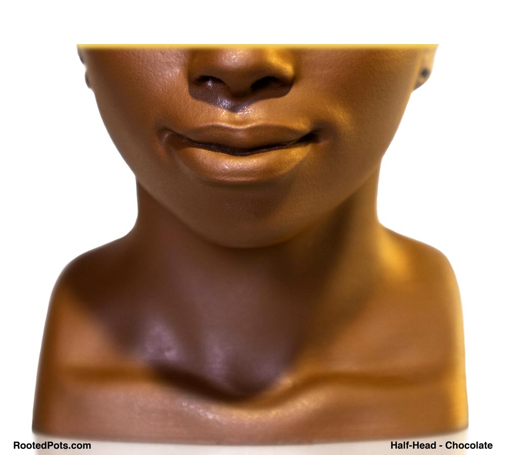 FEATURES - Half Head (Onileola)