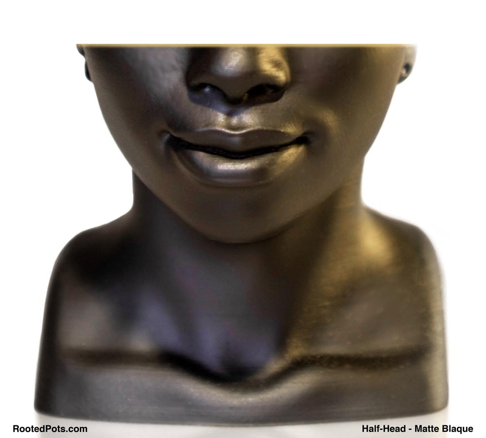 FEATURES - Half Head (Onileola)