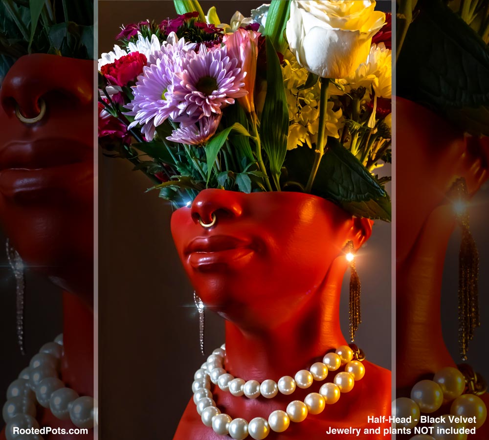 FEATURES - Half Head (Onileola)