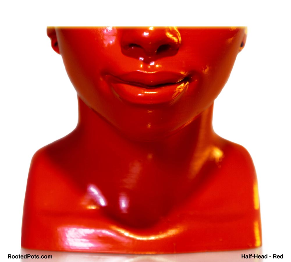 FEATURES - Half Head (Onileola)