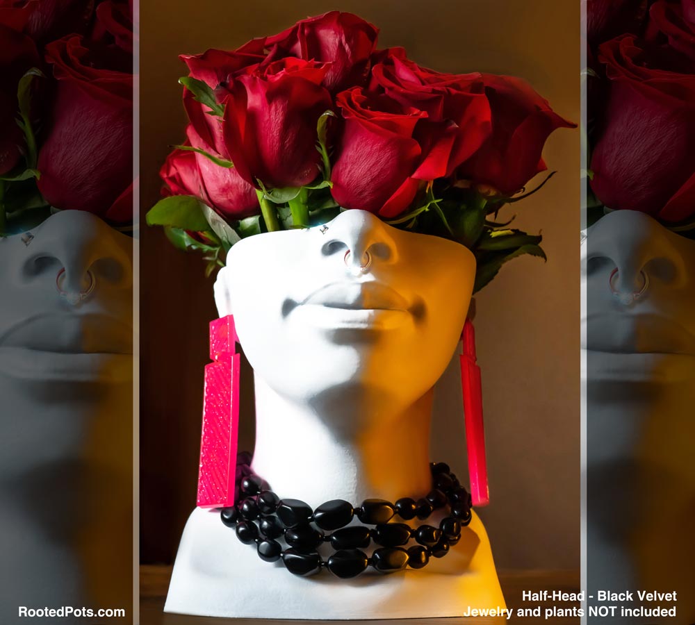 FEATURES - Half Head (Onileola)