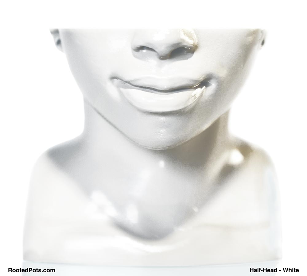 FEATURES - Half Head (Onileola)