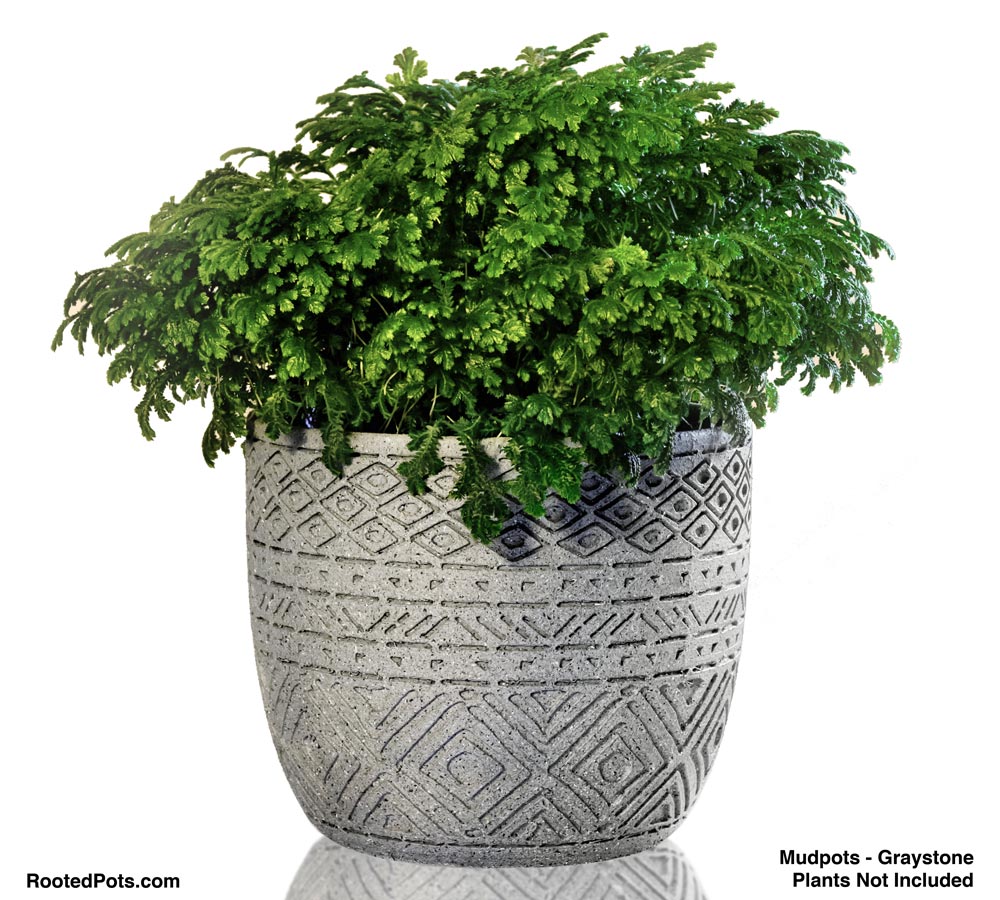 mud pots for plants MudPots Triple Set