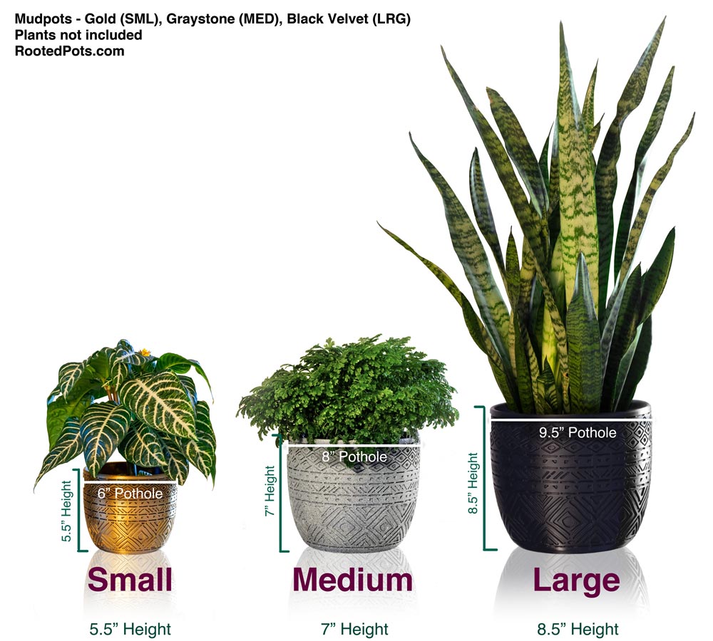 mud pots for plants near me MudPots Triple Set