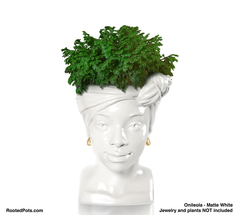 plant pot head Onileola – Rooted Pots